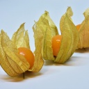 Ovoce se záhadným názvem a mimořádným obsahem vitaminů - Physalis peruviana