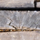 Poruchy dřevěných konstrukcí