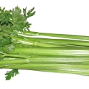Řapíkatý celer pomáhá při hubnutí, dně a vysokém krevním tlaku